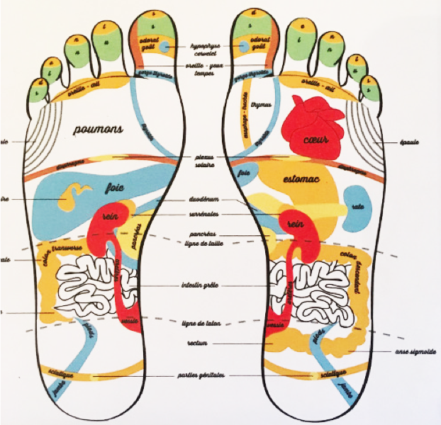 réflexologie des pieds