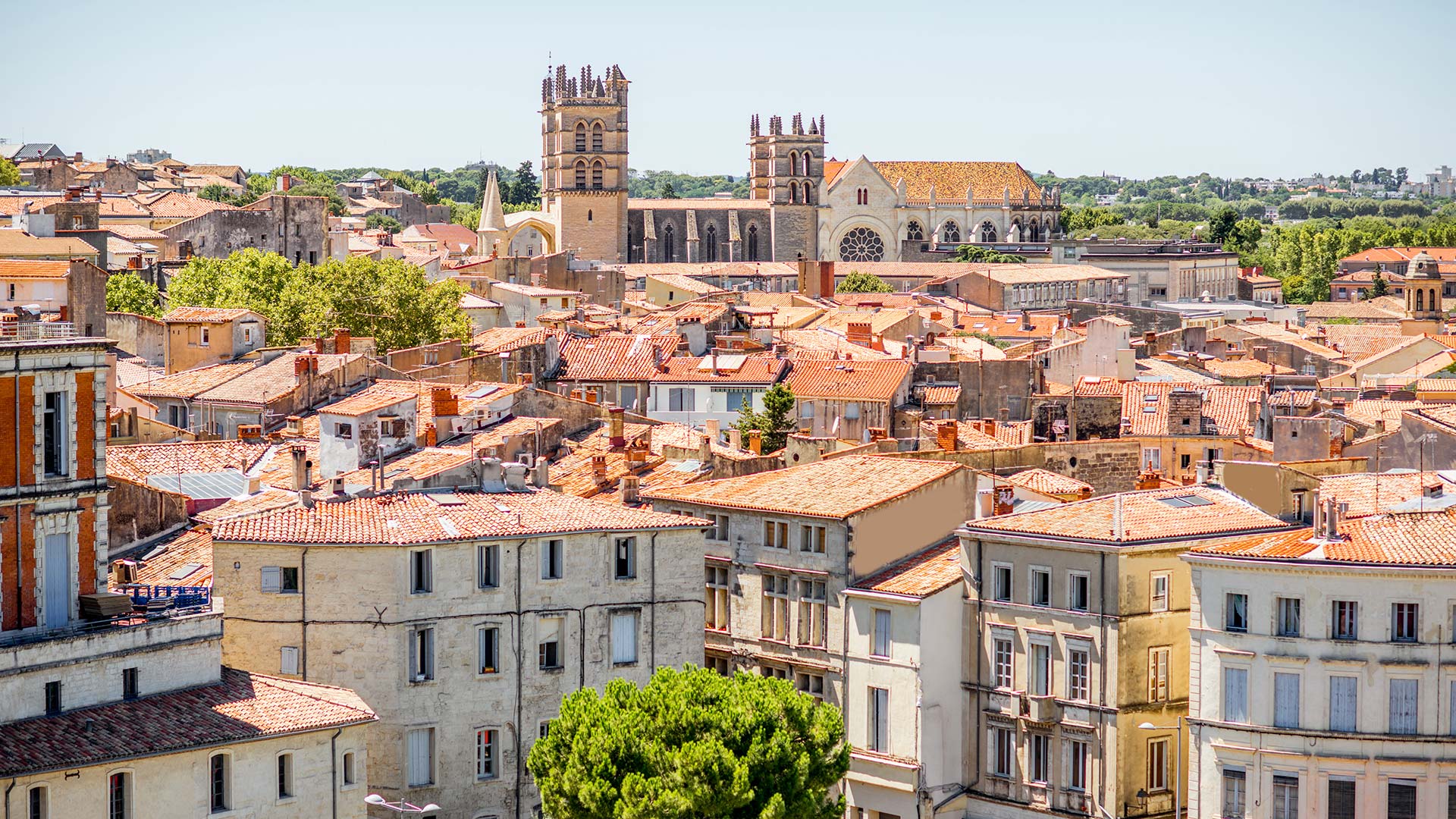 Illustration Montpellier pour le service de Université de Montpellier